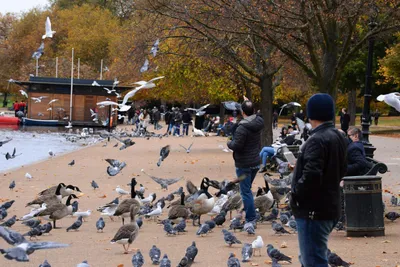 DSC_0655 (Large).JPG